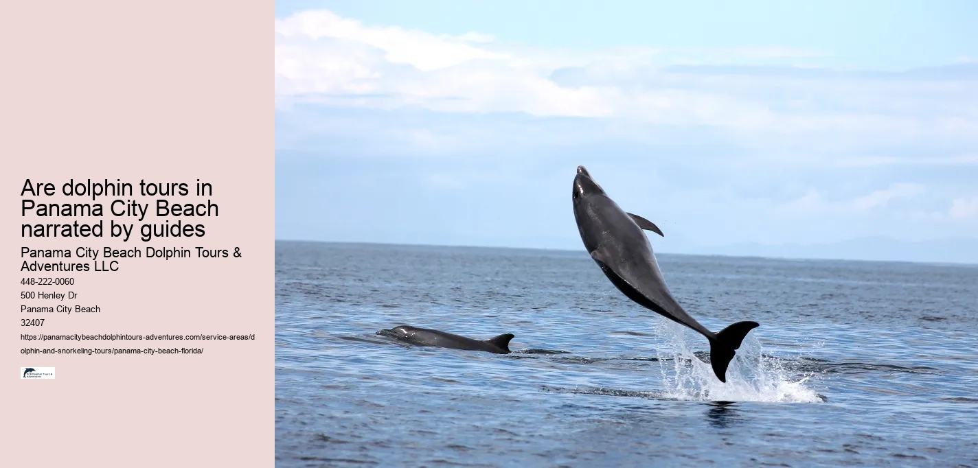 Are dolphin tours in Panama City Beach narrated by guides