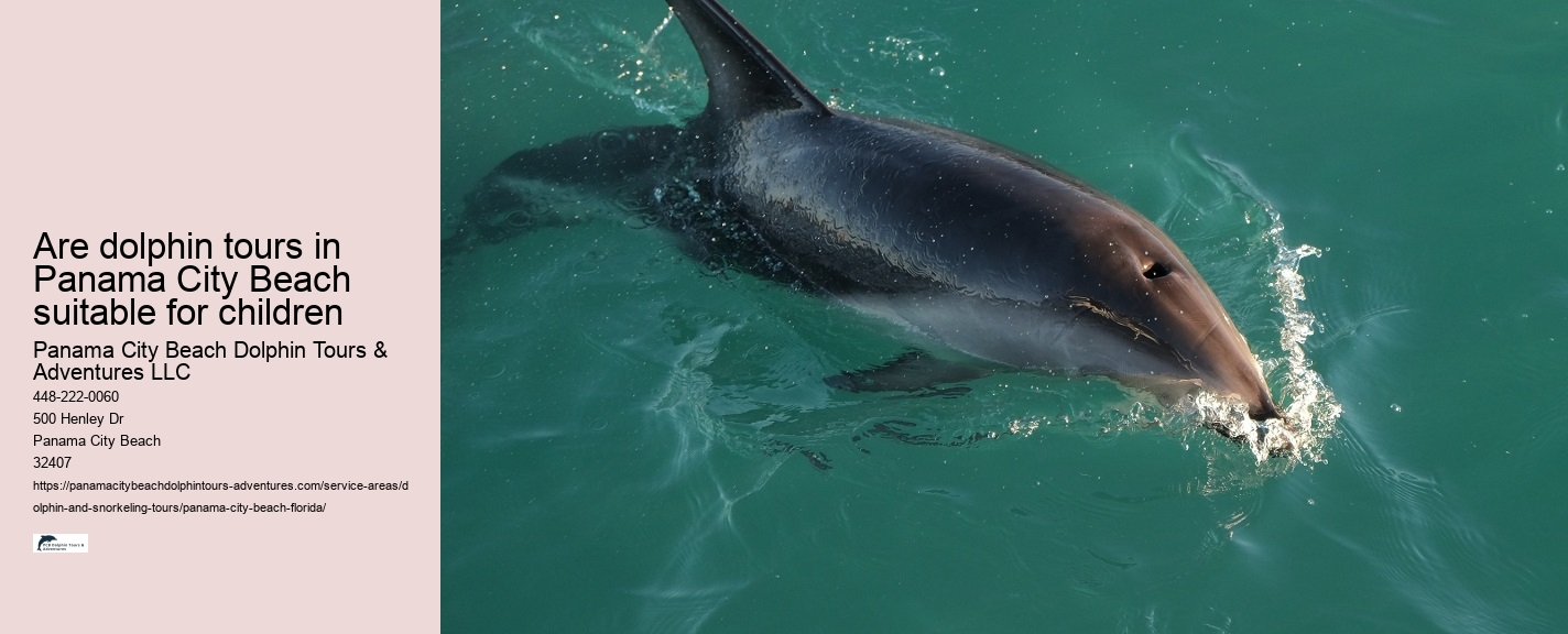 Beach Dolphin