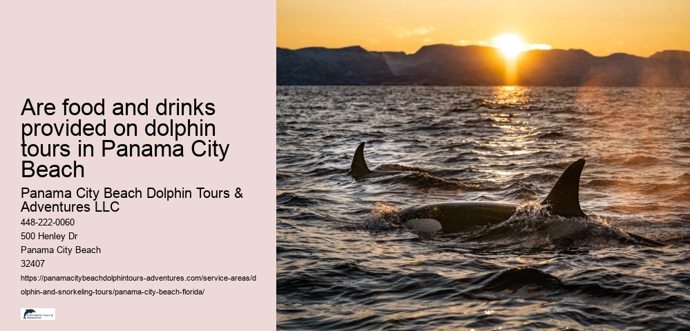 Are food and drinks provided on dolphin tours in Panama City Beach