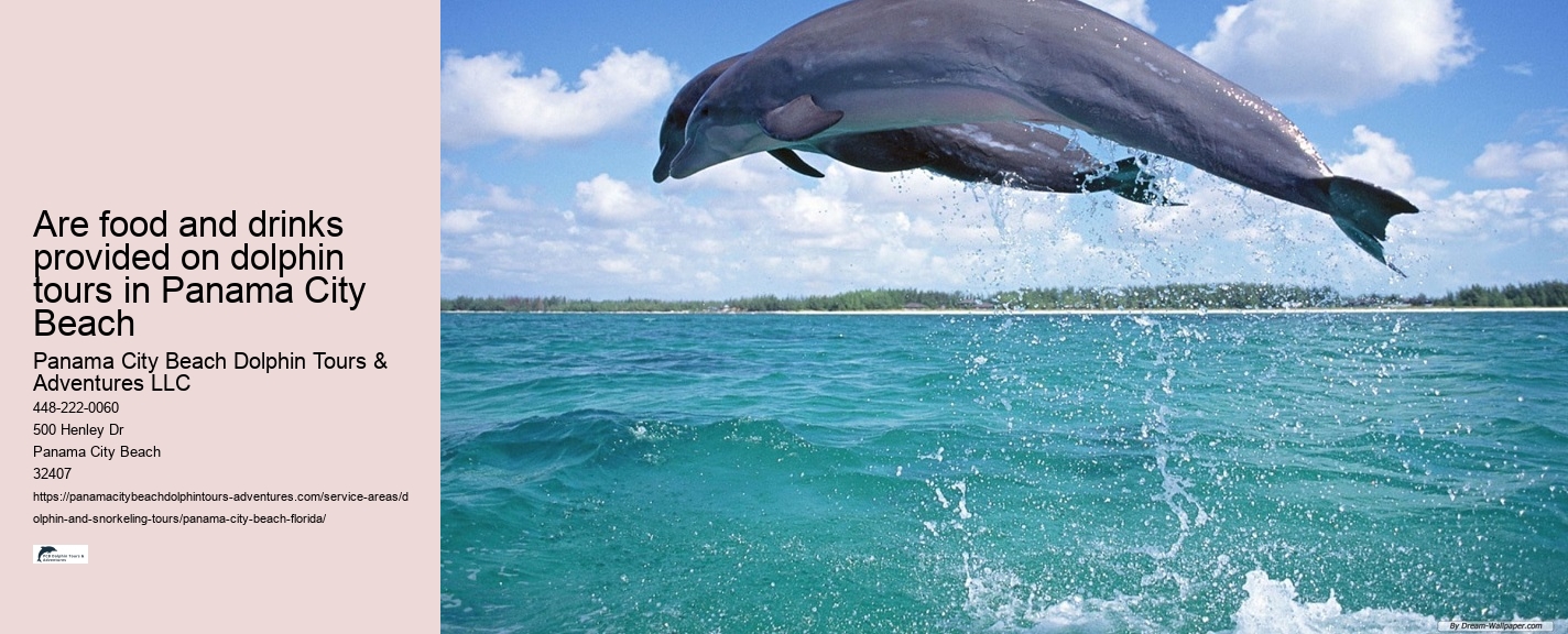 PCB Dolphin Watching Experiences