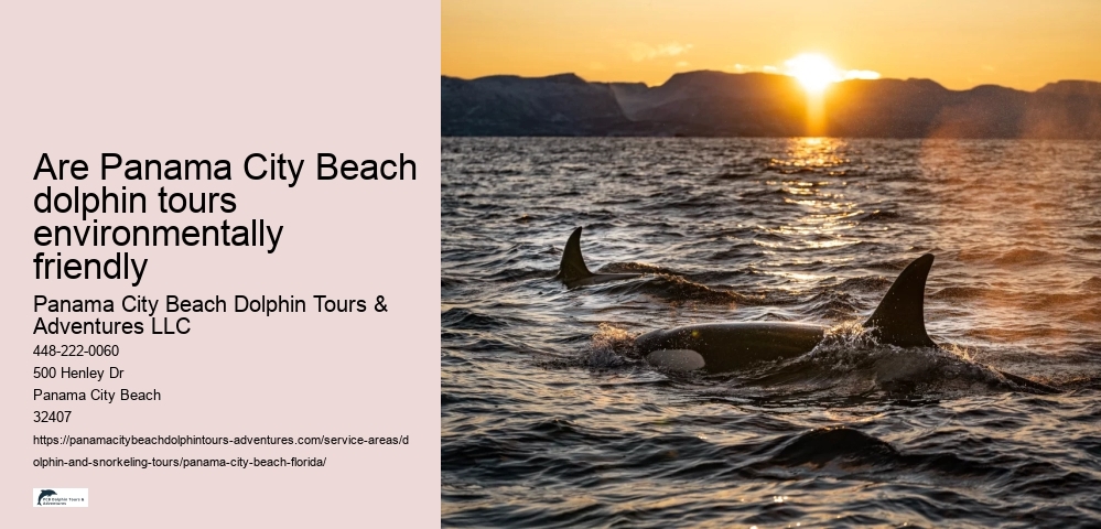 Are Panama City Beach dolphin tours environmentally friendly