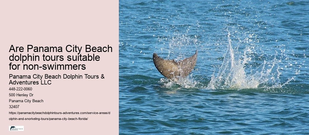 Are Panama City Beach dolphin tours suitable for non-swimmers