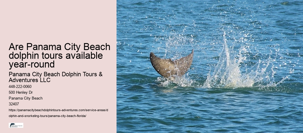 Are Panama City Beach dolphin tours available year-round