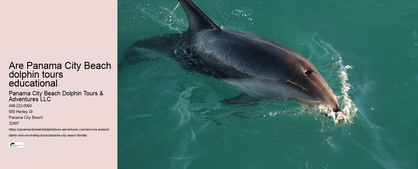 Panama City Beach Dolphin Tours & More
