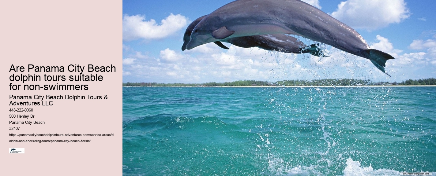 Panama City Beach Dolphin Tours & More Panama City Fl