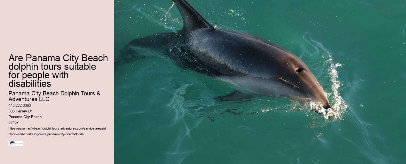 Panama City Beach dolphin viewing tours