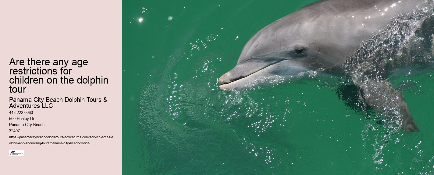 With Dolphins