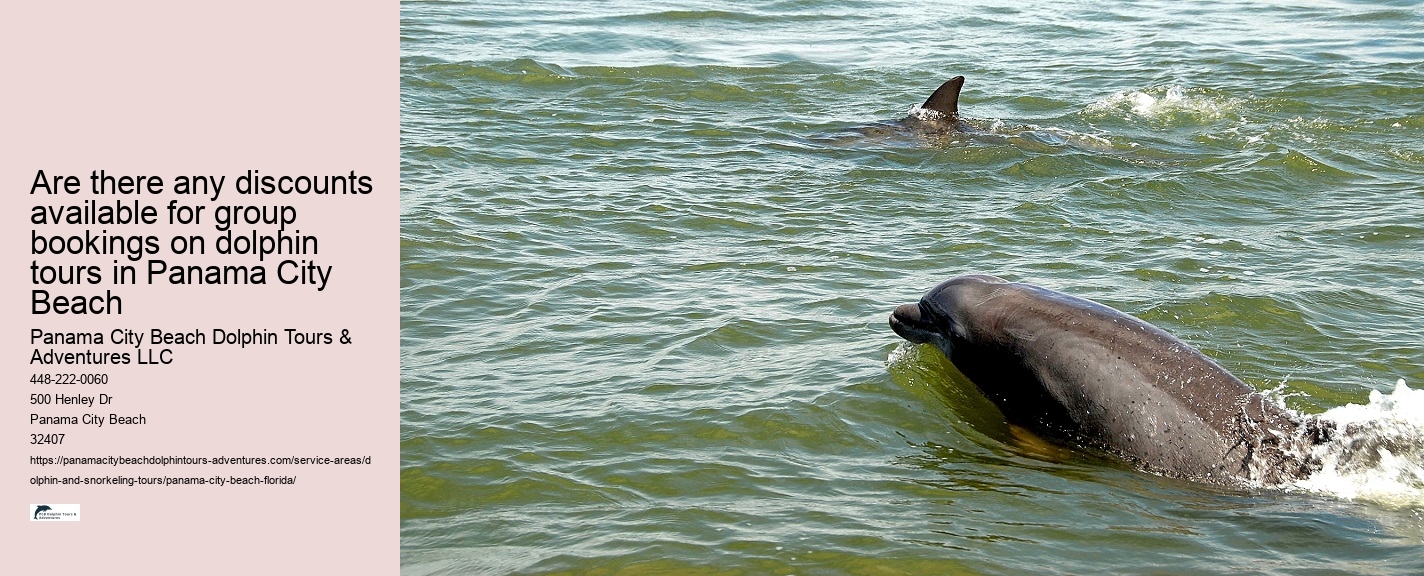 Boat Tours