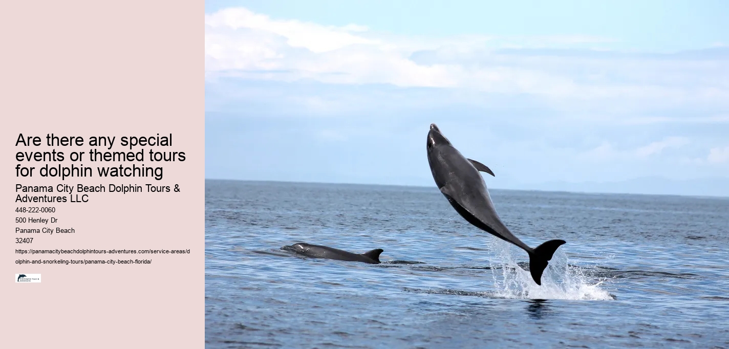 Are there any special events or themed tours for dolphin watching