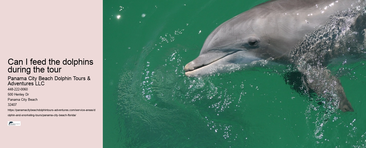 Are dolphin tours in Panama City Beach narrated by guides