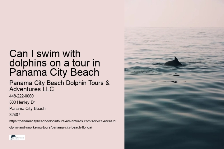 Can I swim with dolphins on a tour in Panama City Beach