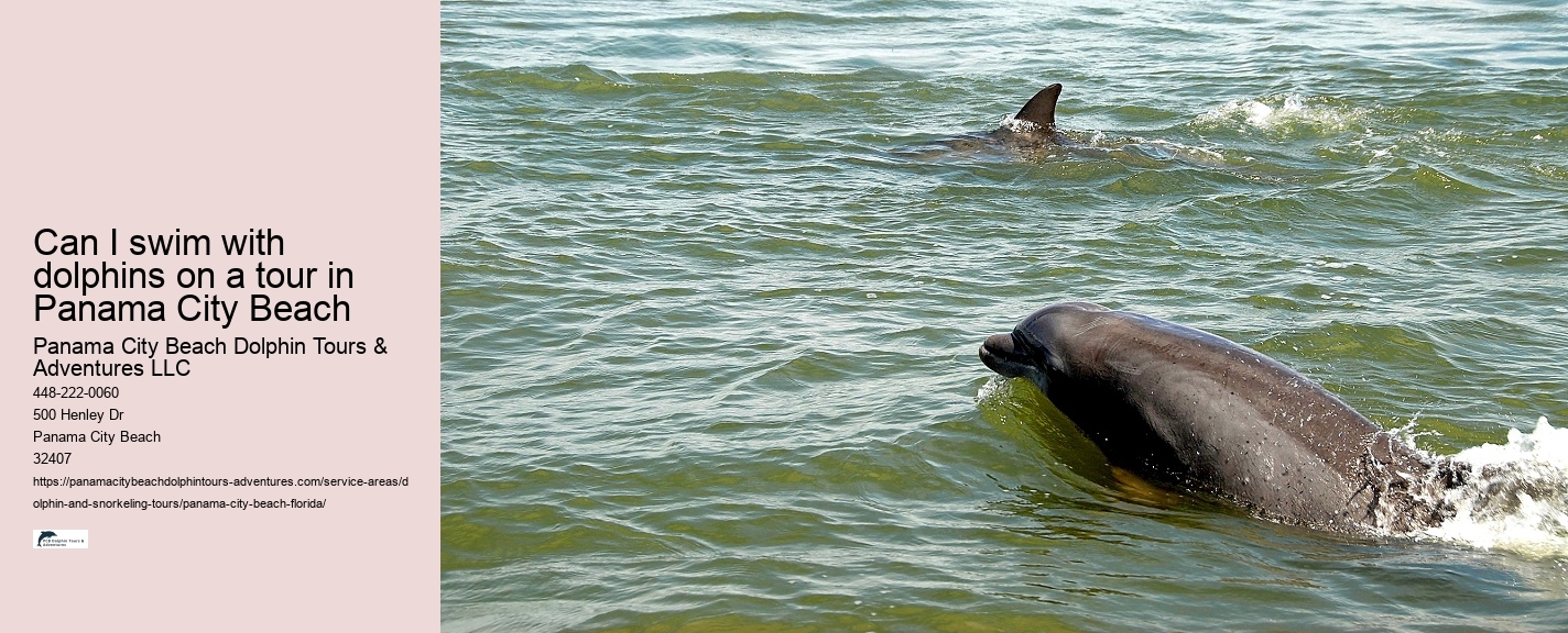Marine Mammals