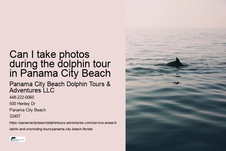 Can I take photos during the dolphin tour in Panama City Beach