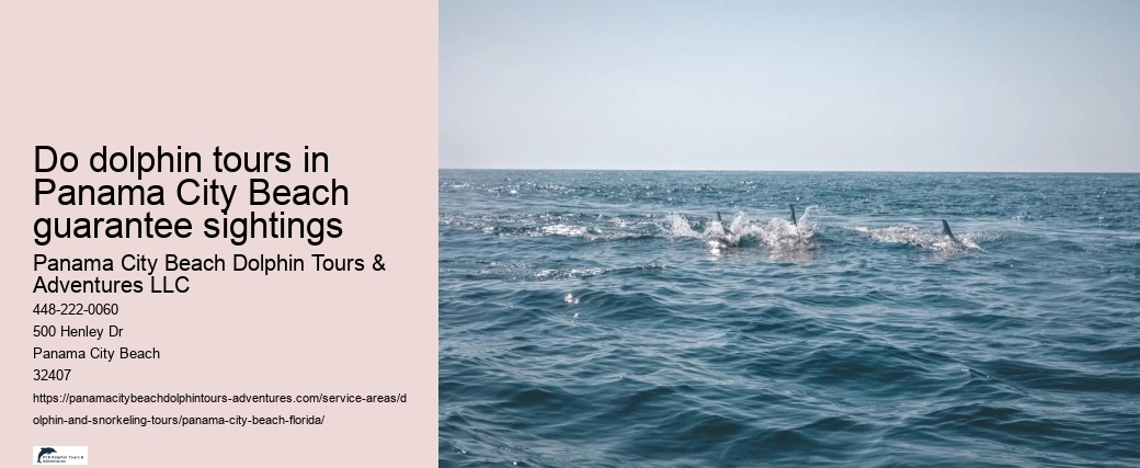 Do dolphin tours in Panama City Beach guarantee sightings