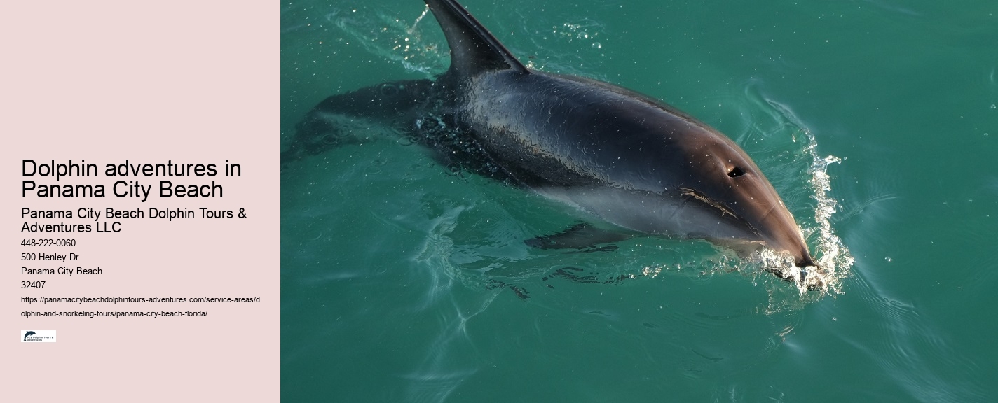 PCB Dolphin Encounters