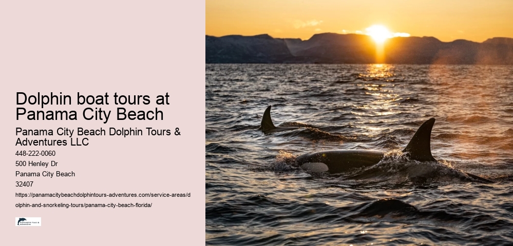 Dolphin boat tours at Panama City Beach