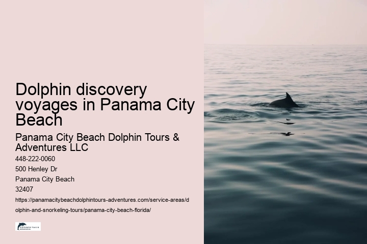 Dolphin discovery voyages in Panama City Beach
