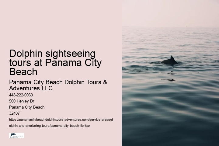 Dolphin sightseeing tours at Panama City Beach