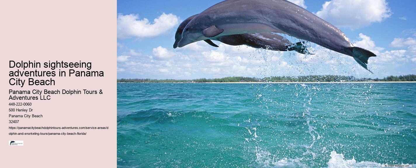 How Much Does It Cost To Swim With The Dolphins In Panama City Beach
