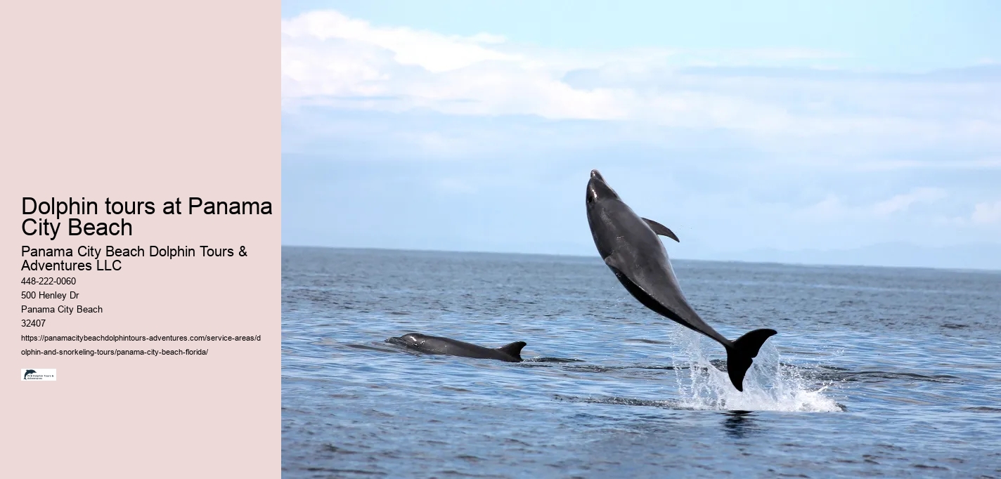 Dolphin tours at Panama City Beach
