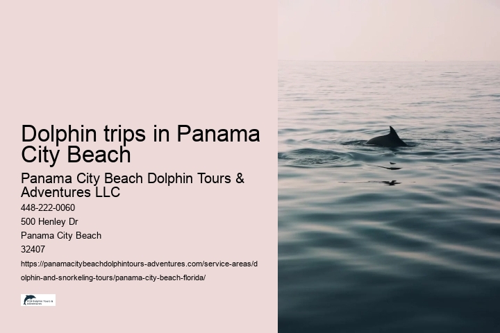 Dolphin trips in Panama City Beach