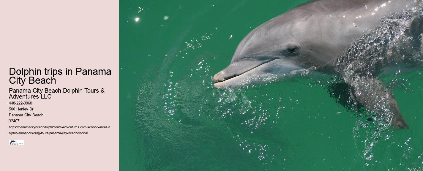 Dolphin Safari Adventures in PCB