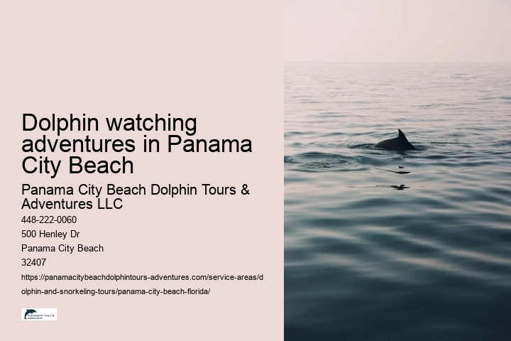 Dolphin watching adventures in Panama City Beach