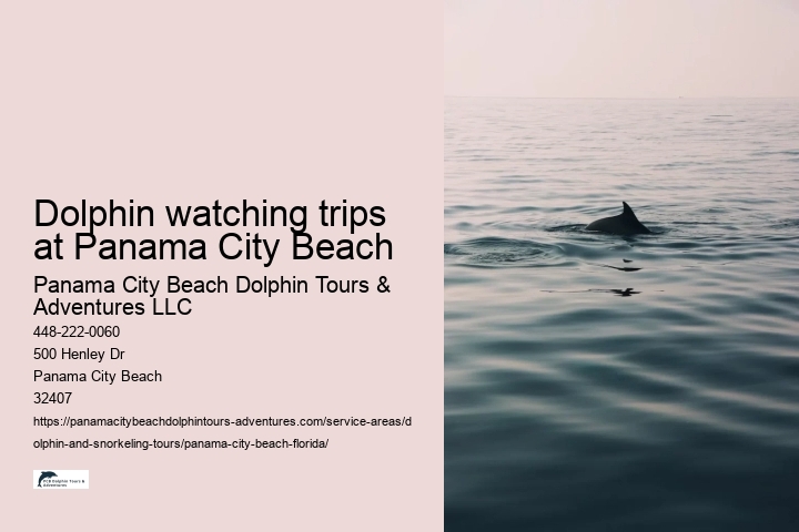 Dolphin watching trips at Panama City Beach