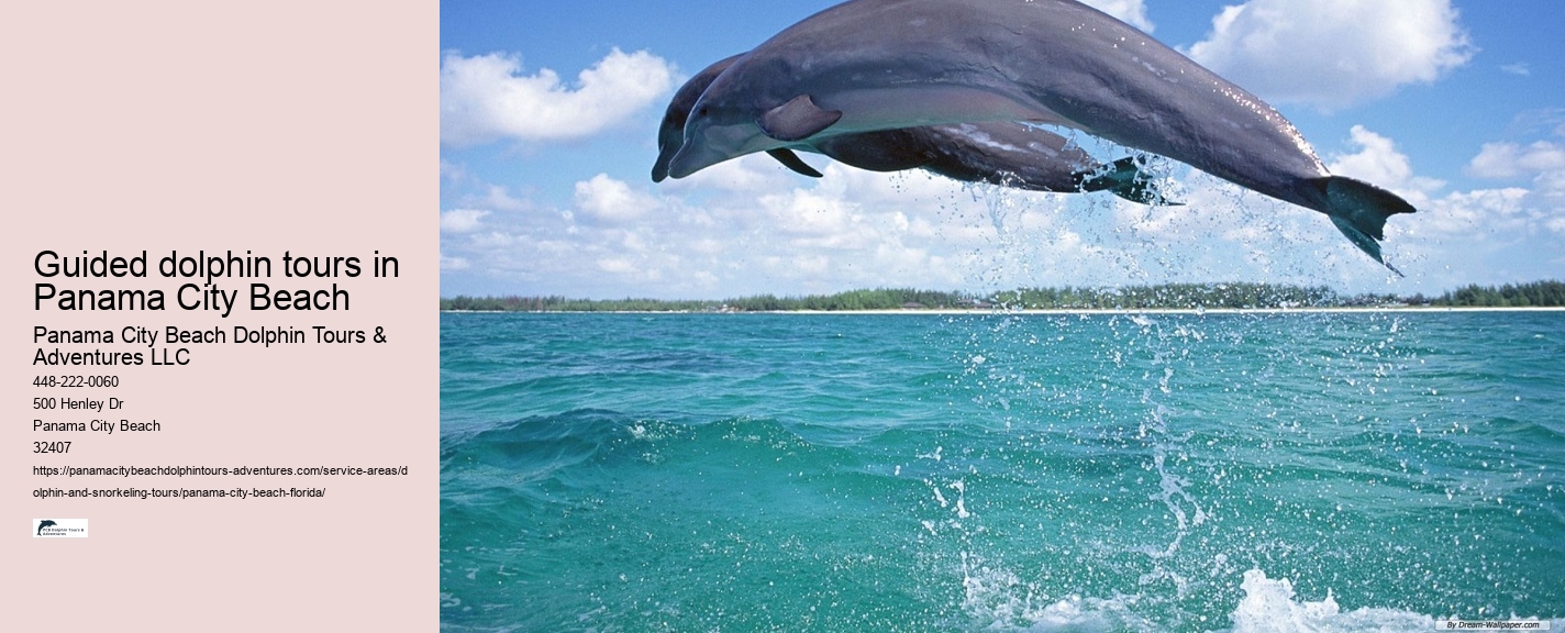 Dolphin sightseeing adventures in Panama City Beach