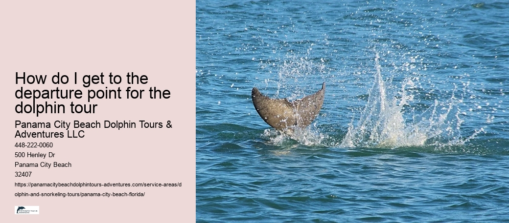 How do I get to the departure point for the dolphin tour
