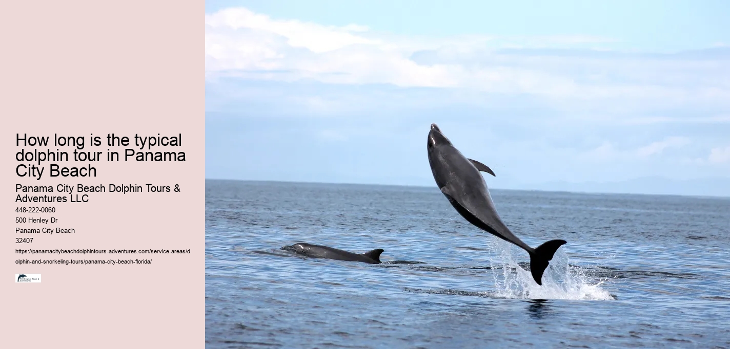 How long is the typical dolphin tour in Panama City Beach