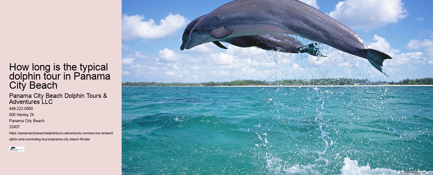Do I need to bring my own snorkeling gear for a dolphin tour in Panama City Beach