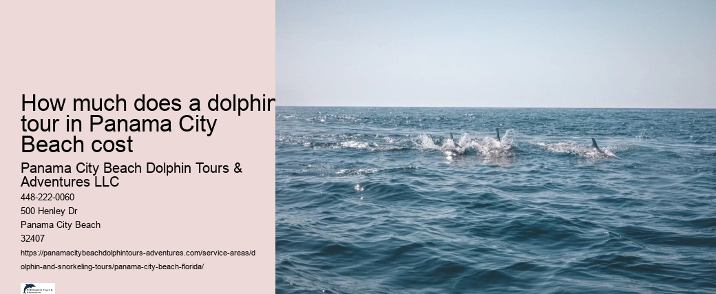 How much does a dolphin tour in Panama City Beach cost
