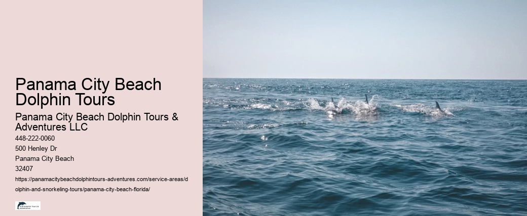 Panama City Beach Dolphin Tours