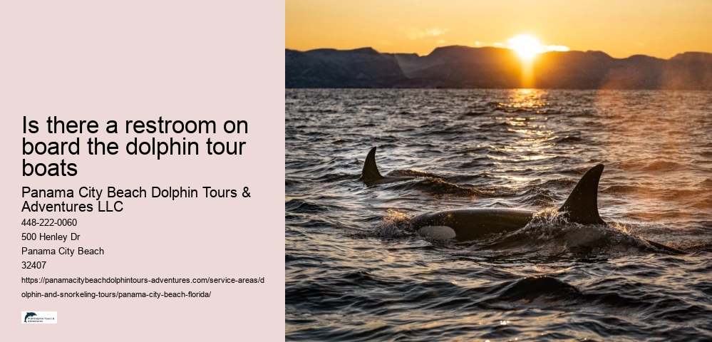 Is there a restroom on board the dolphin tour boats