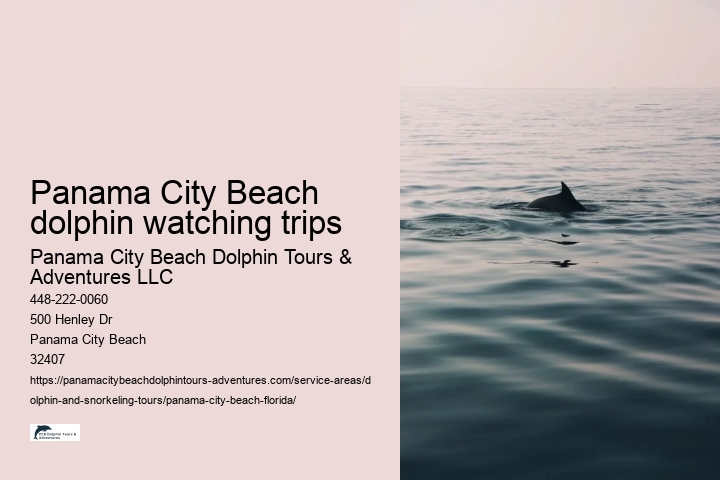 Panama City Beach dolphin watching trips
