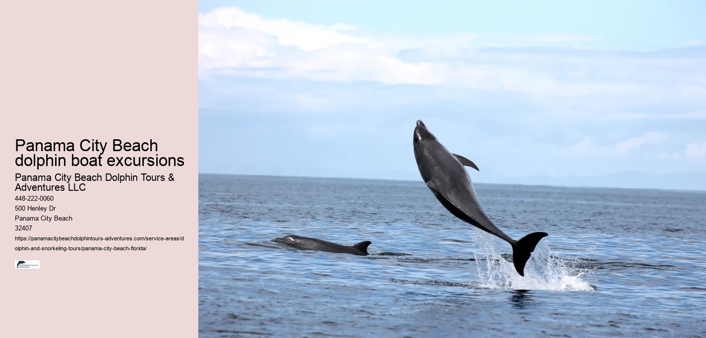 Panama City Beach dolphin boat excursions