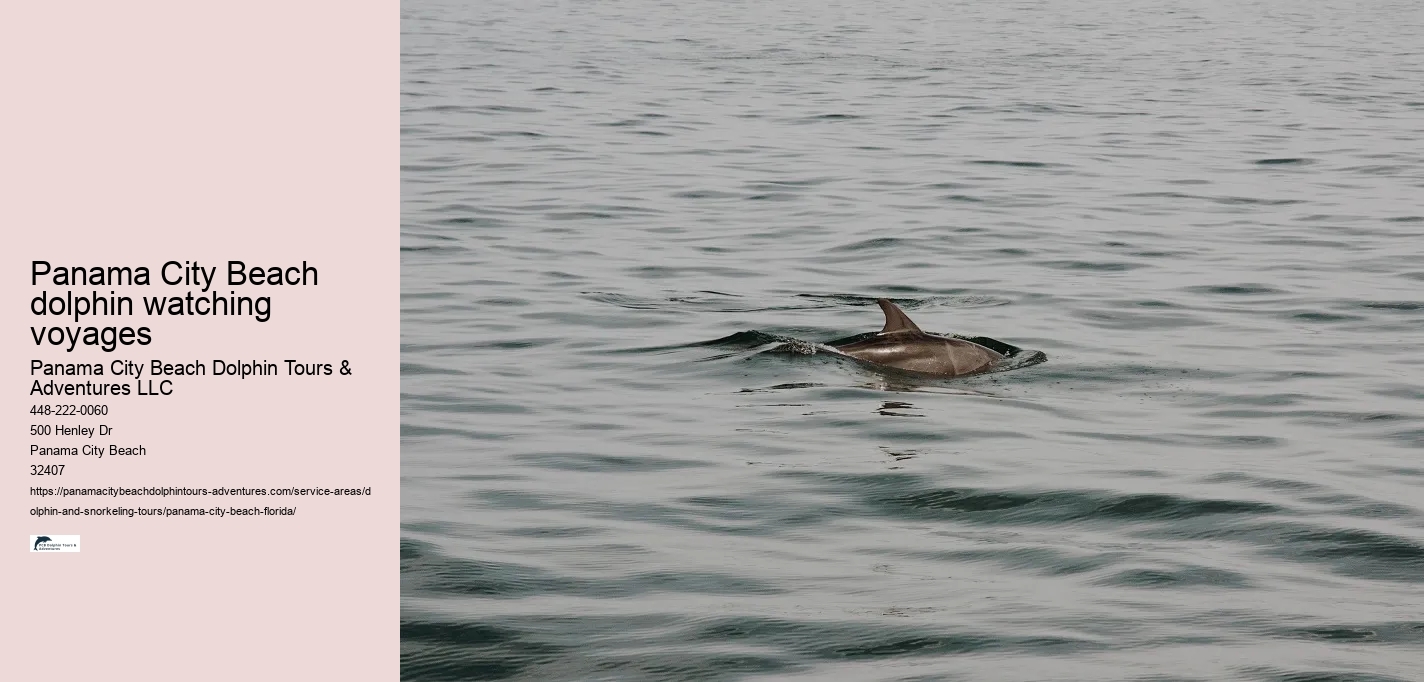 Panama City Beach dolphin watching voyages