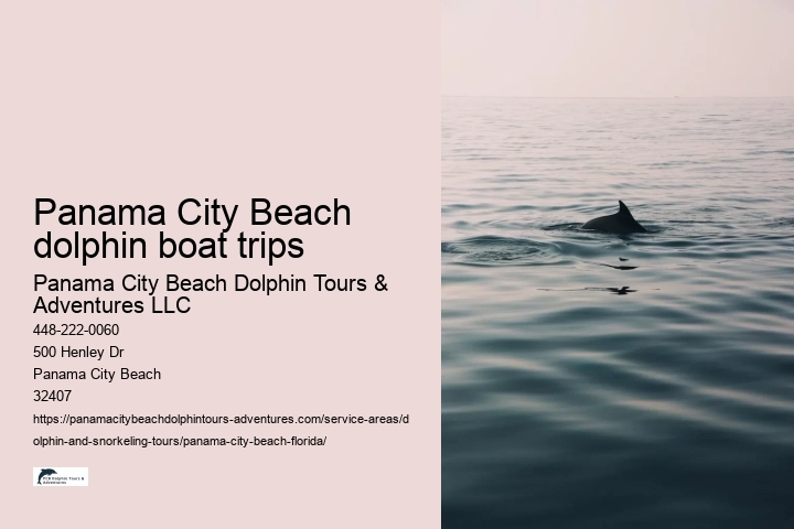 Panama City Beach dolphin boat trips