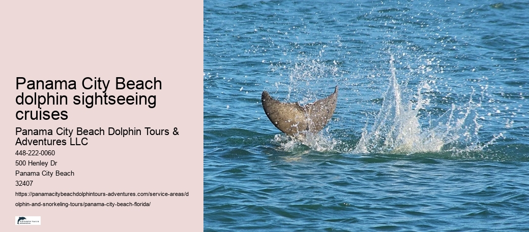 Panama City Beach dolphin sightseeing cruises