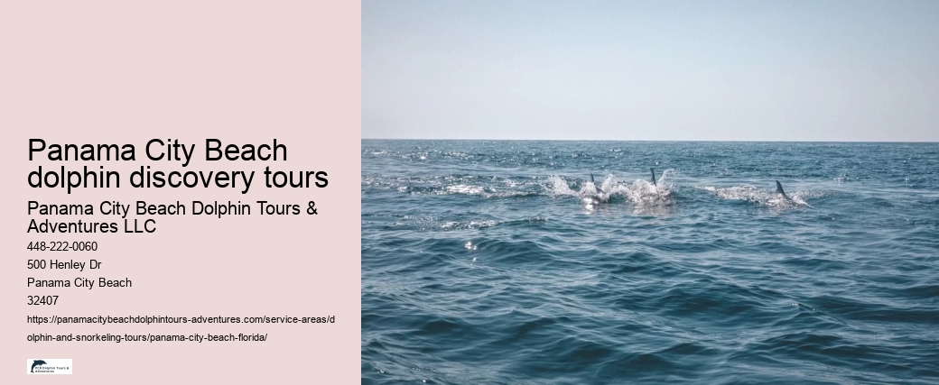 Panama City Beach dolphin discovery tours