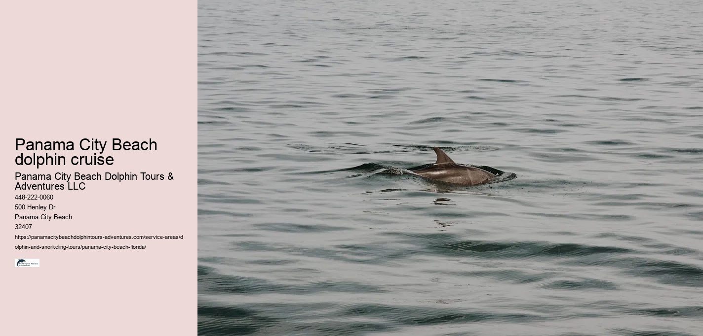 Panama City Beach dolphin cruise