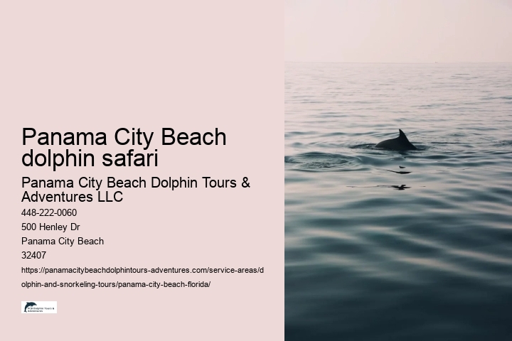Panama City Beach dolphin safari