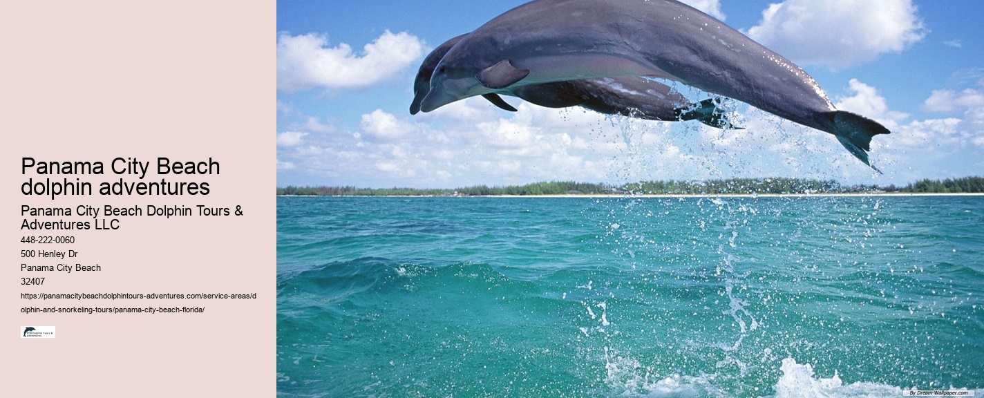 Panama City Beach dolphin watching trips