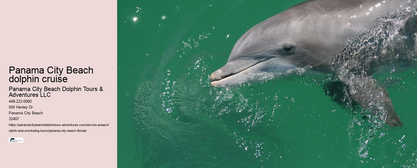 Are there any specific clothing recommendations for the dolphin tour