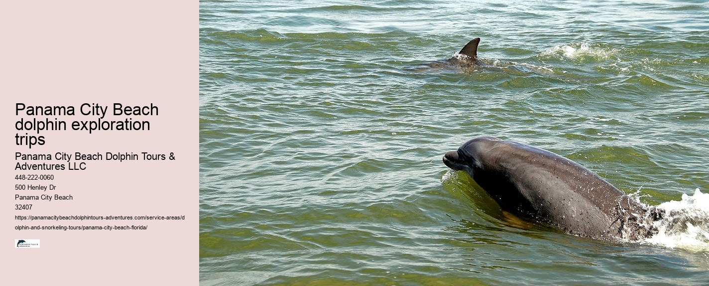 PCB Dolphin Sightseeing Trips