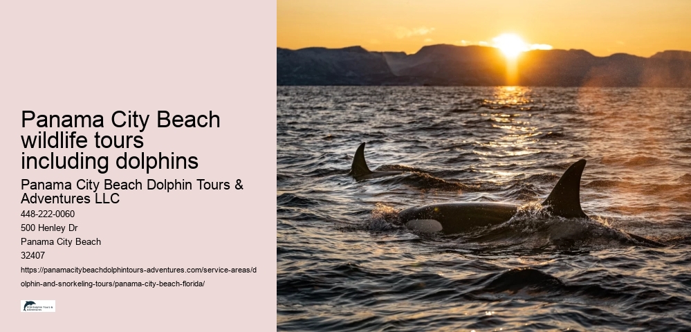 Panama City Beach wildlife tours including dolphins