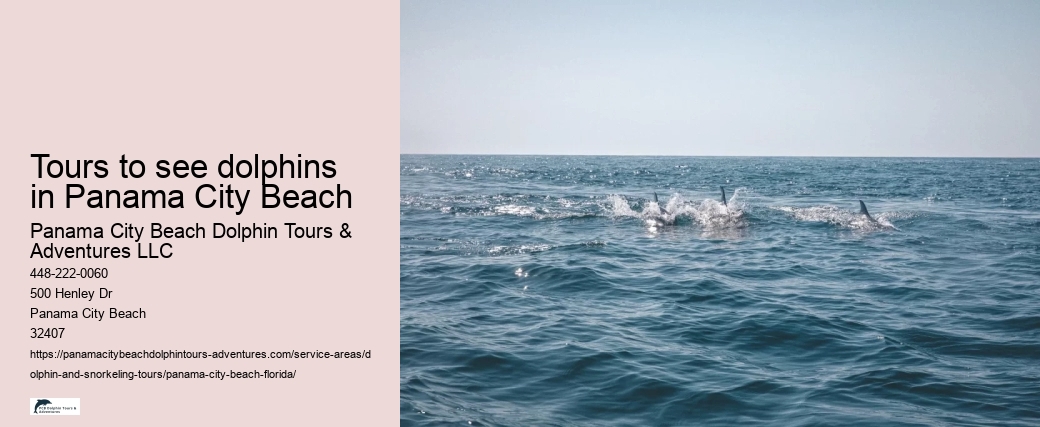 Tours to see dolphins in Panama City Beach