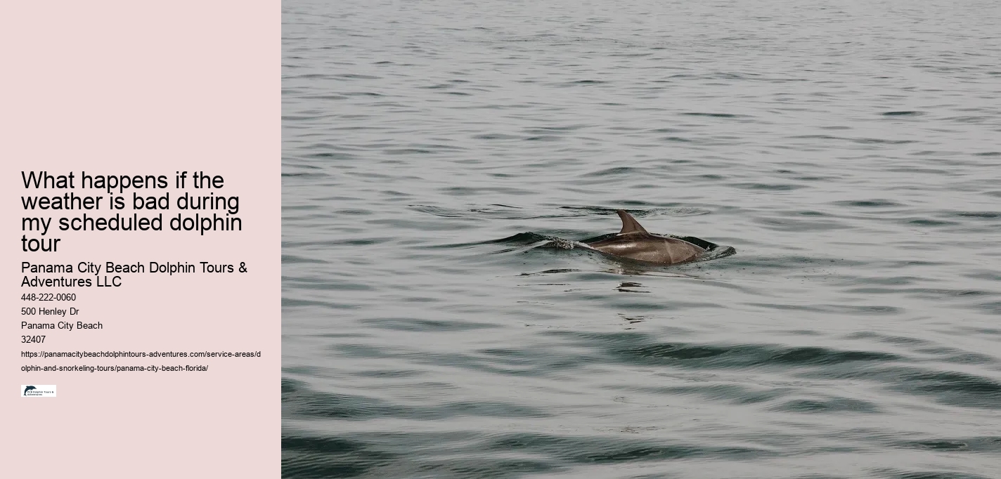 What happens if the weather is bad during my scheduled dolphin tour