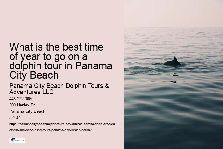 What is the best time of year to go on a dolphin tour in Panama City Beach